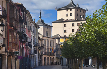 10 pistas para una escapada a Aranda de Duero